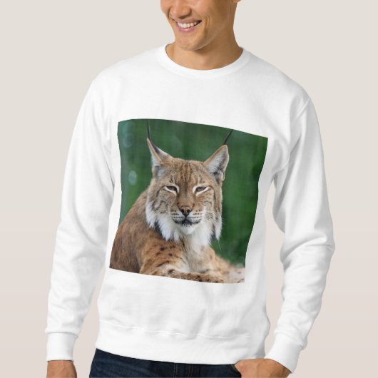 Sweater Luchs CCO_. Sweatshirt (Vorderseite)