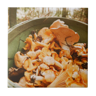 Swedish Archipelago Mushroom Foraging Photo Fliese