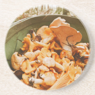 Swedish Archipelago Mushroom Foraging Photo Getränkeuntersetzer