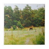 Swedish Countryside Fliese (Vorderseite)