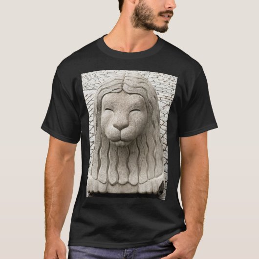 Swedish Stone Lion Stockholm Fotograf T-Shirt (Vorderseite)