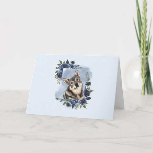 Swedish Vallhund Karte (Vorderseite)