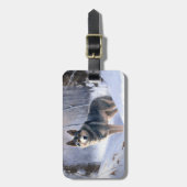 Swedish Vallhund Let It Snow Christmas Gepäckanhänger (Vorderseite vertikal)