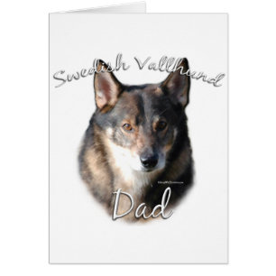 Swedish Vallhund Vater 2