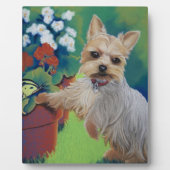 Sweentess Yorkie Fotoplatte (Vorderseite)