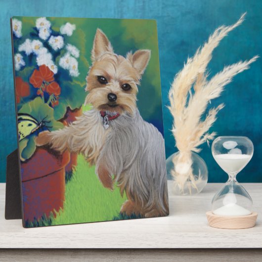 Sweentess Yorkie Fotoplatte (Seite)