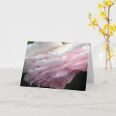 Sweep Pink Rose Blume Gruß oder Mitteilungskarten (Gelbe Blume)
