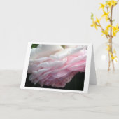 Sweep Pink Rose Blume Gruß oder Mitteilungskarten (Gelbe Blume)