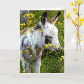 Swee'pea Karte (Gelbe Blume)