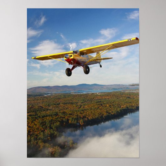 Sweeps Husky über den Maine Lake Poster (Vorne)