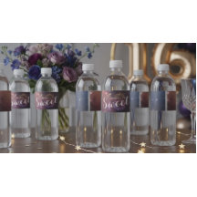 Sweet 16. Geburtstagsparty Chic Star-Sternenkonste