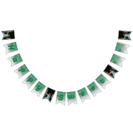 Sweet 16 Party, Falling Green Glitzer & 4 Fotos Wimpelkette