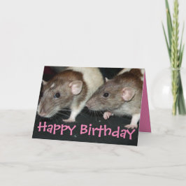 Sweet agouti hooded Girl Ratten Geburtstagskarte Karte