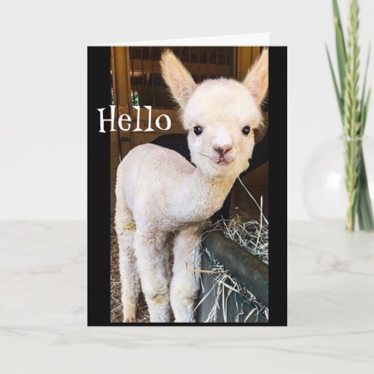SWEET ALPACA SAYS *HAPPY 2. BIRTHDAY" Card Karte (Vorderseite)