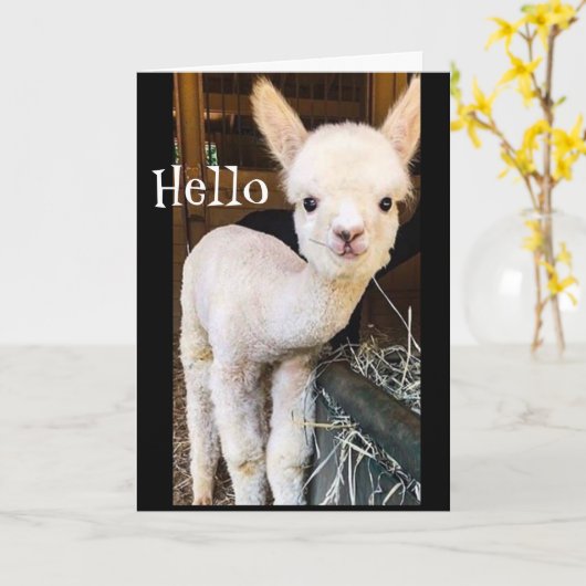 SWEET ALPACA SAYS *HAPPY 2. BIRTHDAY" Card Karte (Gelbe Blume)