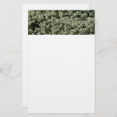 Sweet Alyssum Blume Weiße Blüte Briefpapier (Vorne/Hinten)