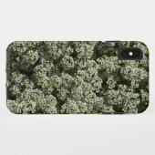 Sweet Alyssum Blume Weiße Blüte Case-Mate iPhone Hülle (Rückseite (Horizontal))