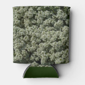 Sweet Alyssum Blume Weiße Blüte Dosenkühler (Vorderseite)