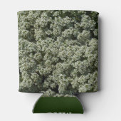 Sweet Alyssum Blume Weiße Blüte Dosenkühler (Rückseite)