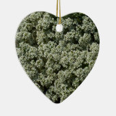 Sweet Alyssum Blume Weiße Blüte Keramik Ornament (Rechts)