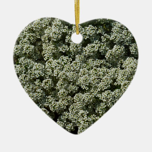 Sweet Alyssum Blume Weiße Blüte Keramik Ornament (Vorne)