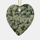 Sweet Alyssum Blume Weiße Blüte Keramik Ornament (Links)