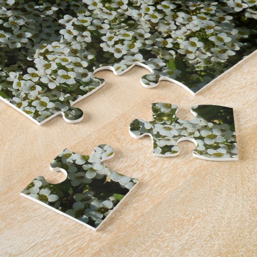 Sweet Alyssum Blume Weiße Blüte Puzzle (Seite)