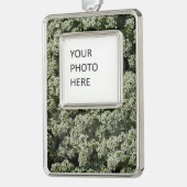 Sweet Alyssum Blume Weiße Blüte Rahmen-Ornament Silber (Links)