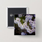 Sweet Alyssum in Grunge Button (Vorne & Hinten)