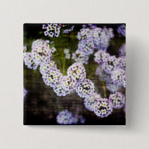 Sweet Alyssum in Grunge Button