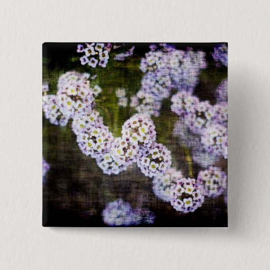Sweet Alyssum in Grunge Button (Vorderseite)