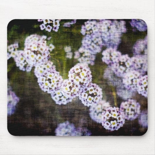 Sweet Alyssum in Grunge Mousepad (Vorne)