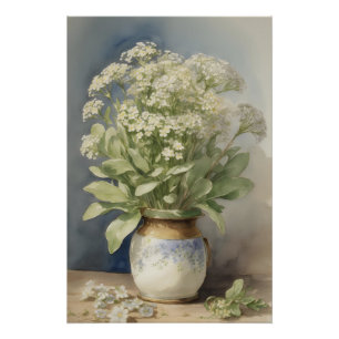 Sweet Alyssum Poster