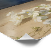 Sweet Alyssum Poster (Ecke)