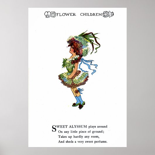 Sweet Alyssum Poster (Vorne)