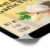 Sweet & Sy Garlic Pepper Condiment Sce Group M Poster (Ecke)