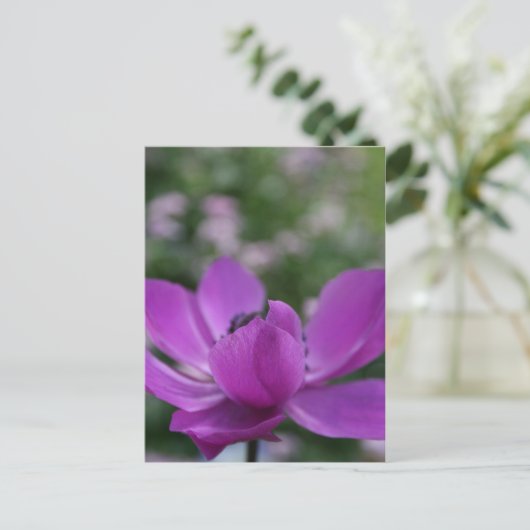 Sweet Anemone Postkarte (Stehend Vorderseite)