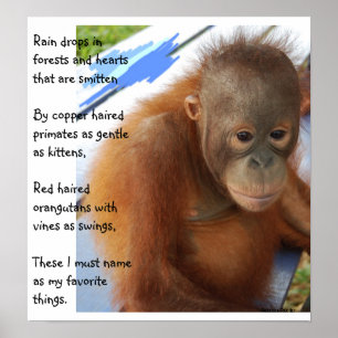 Sweet Animal Favorites Poster