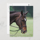 Sweet Arabian Horse Postcard Postkarte (Vorne/Hinten)