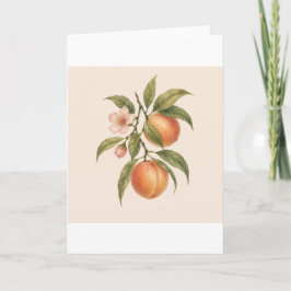 Sweet as a Peach | Vintage Peach Botanical Design Karte