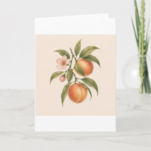Sweet as a Peach Vintage Peach Botanical Design Karte