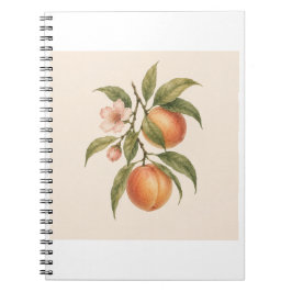 Sweet as a Peach | Vintage Peach Botanical Design Notizblock