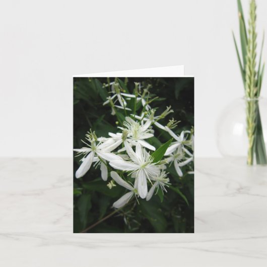 Sweet Autumn Clematis Foto Falted Note Card (Vorderseite)