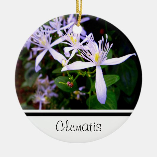 Sweet Autumn Clematis Keepake Ornament (Vorne)