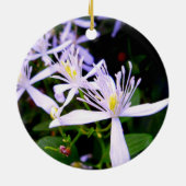 Sweet Autumn Clematis Keepake Ornament (Hinten)