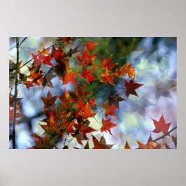 Sweet Autumn Poster