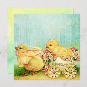 Sweet Baby Chicks Osterkarten personalisieren Text Feiertagskarte