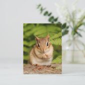 Sweet Baby Chipmunk Postcard Postkarte (Stehend Vorderseite)