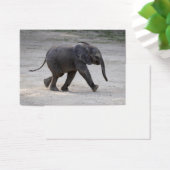 Sweet Baby Elephant Kibali (Schreibtisch)