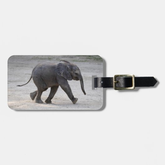 Sweet Baby Elephant Kibali Gepäckanhänger (Vorderseite horizontal)